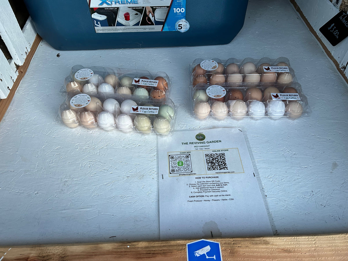 Eggs