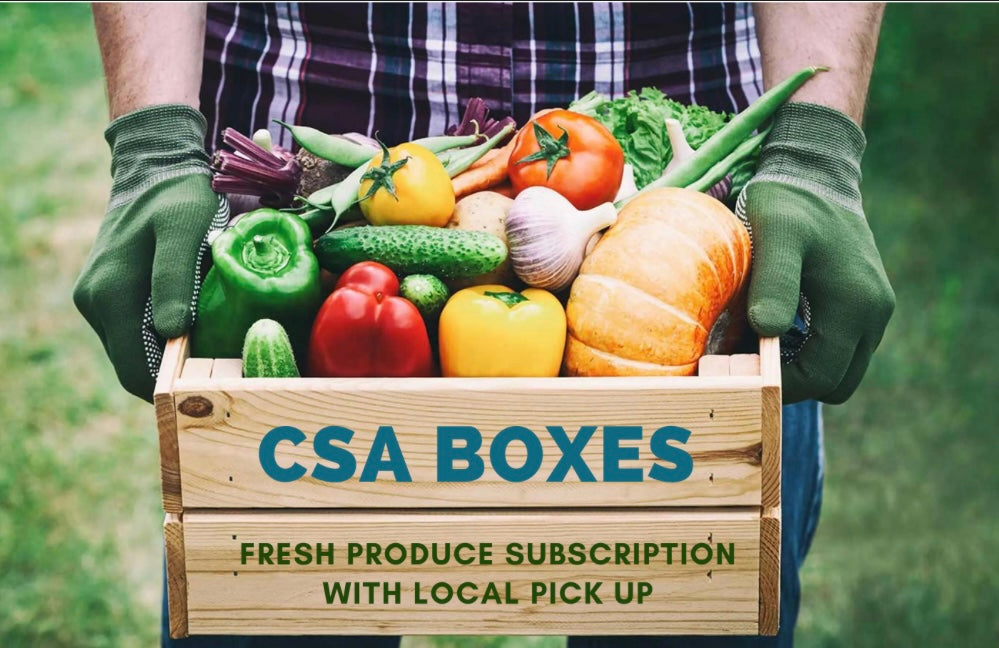 CSA Subscription (Biweekly)